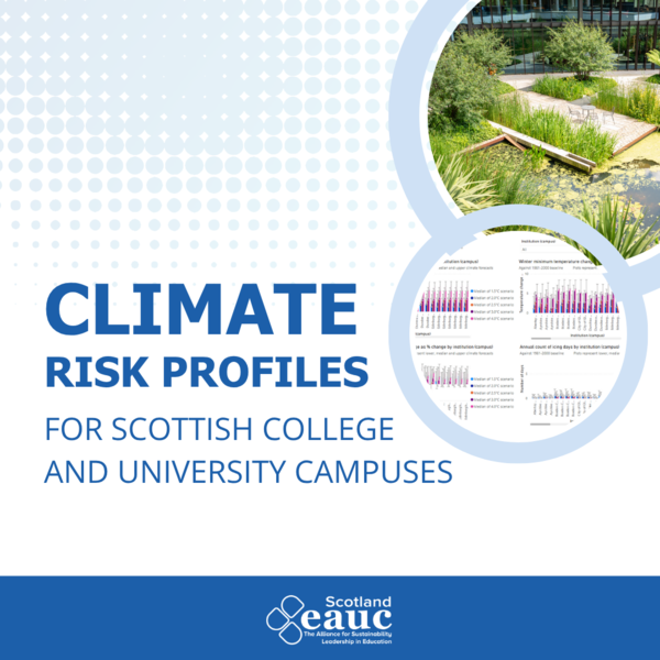 Latest Resources Item