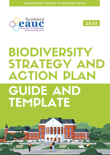 Latest Resources Item