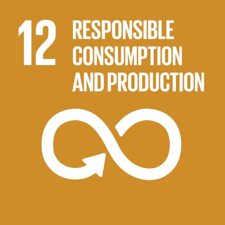 12. Responsible consumption and reduction SDG logo
