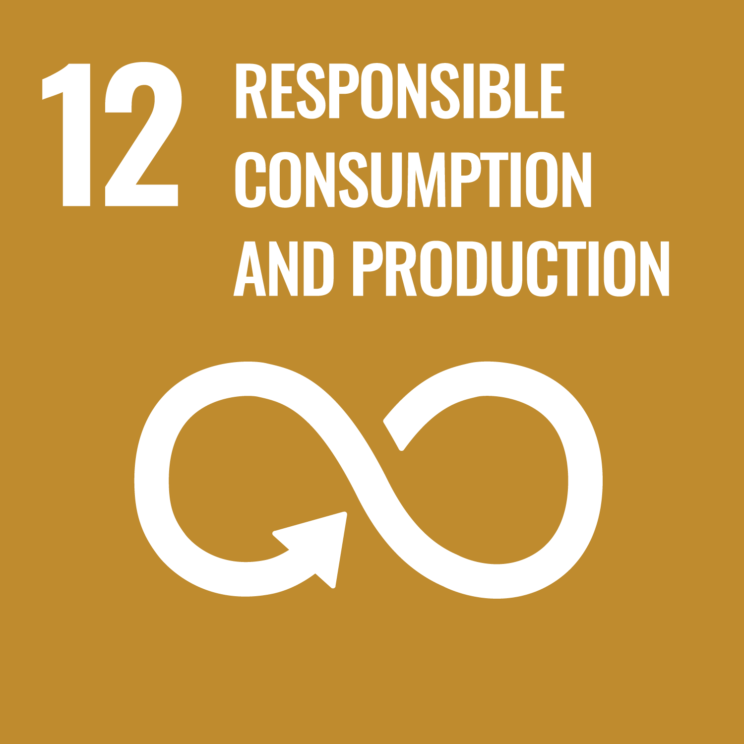 SDG responsible consumption and production logo