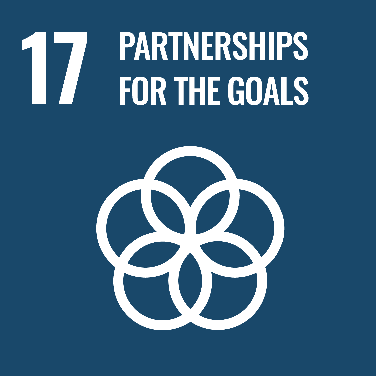 SDG17 Icon - Partnerships for the Goals