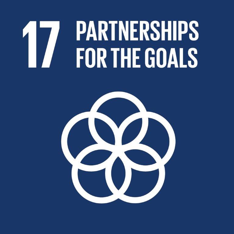 17.Partnerships for the goal logo