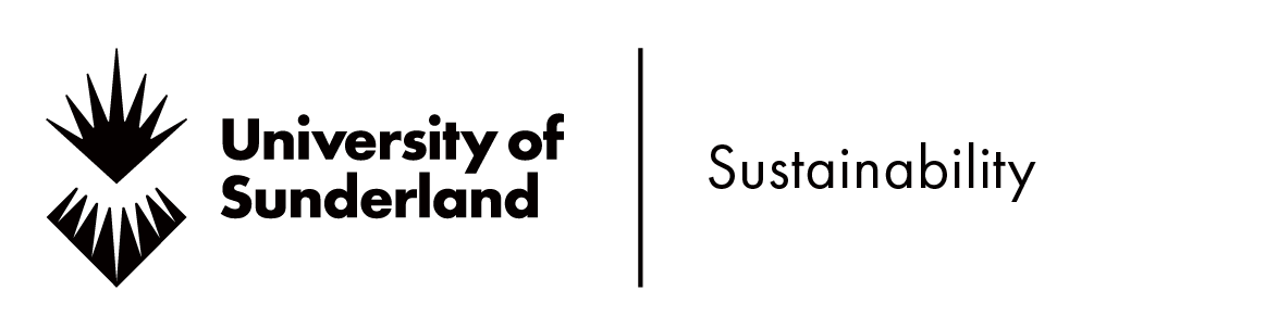 University of Sunderland Logo