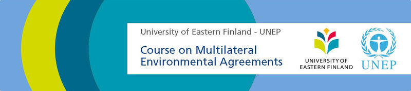 12th UEF-UNEP Course on Multilateral Environmental Agreements