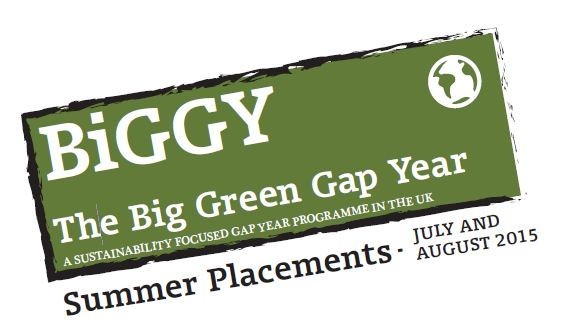 The BiGGY Summer Placements 2015