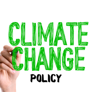​The new civil politics of climate change
