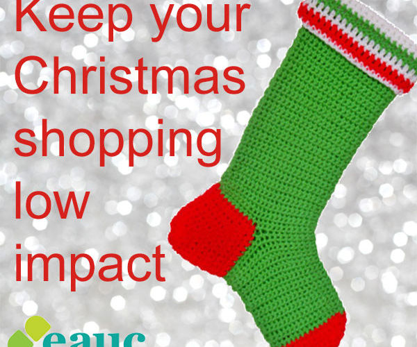 All I want for Christmas is a Sustainable Stocking Filler!