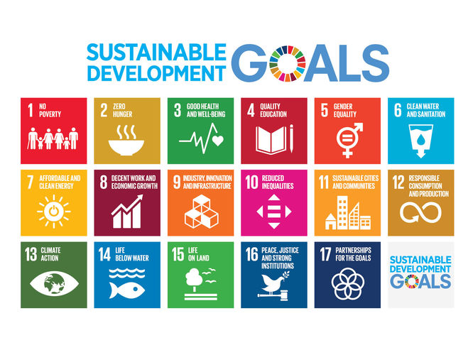 University of Winchester supporting local businesses to contribute to SDGs