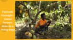 Fairtrade Fortnight - Cocoa farmers deserve a living wage