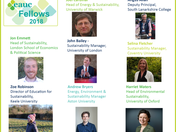 Introducing our 2018 Fellows