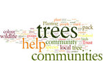 Free trees for your local area image #1