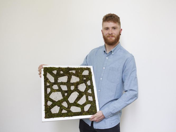 Nottingham Trent University student designs innovative moss wall panels to reduce air pollution 