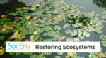 Join SocEnv Campaign to restore ecosystems