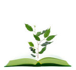 ESD training: Apply for ‘Green Academy: Curricula for Tomorrow’ image #1
