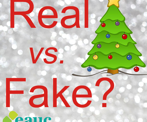 Real or Fake Christmas trees - what does the research say?