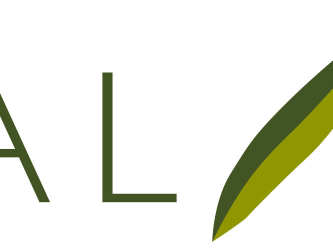 Salix Energy Efficiency Loan Scheme (SEELS) now open for colleges