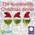 The perfect Christmas dinner - sustainability with all the trimmings! image #1