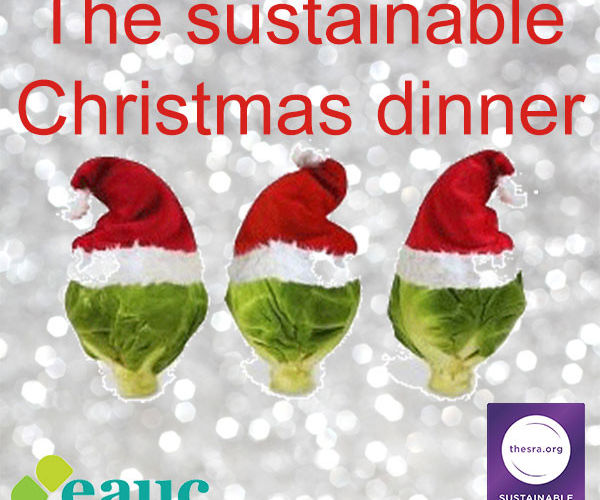 The perfect Christmas dinner - sustainability with all the trimmings!