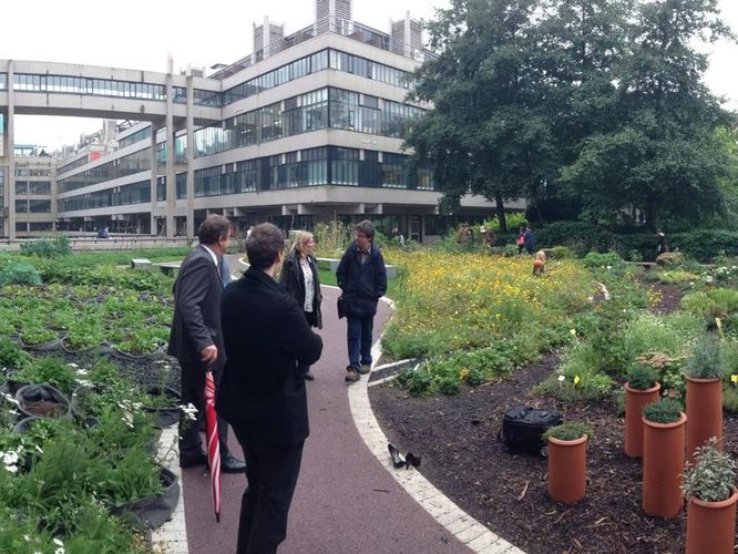Sustainable Gardening at the University of Leeds