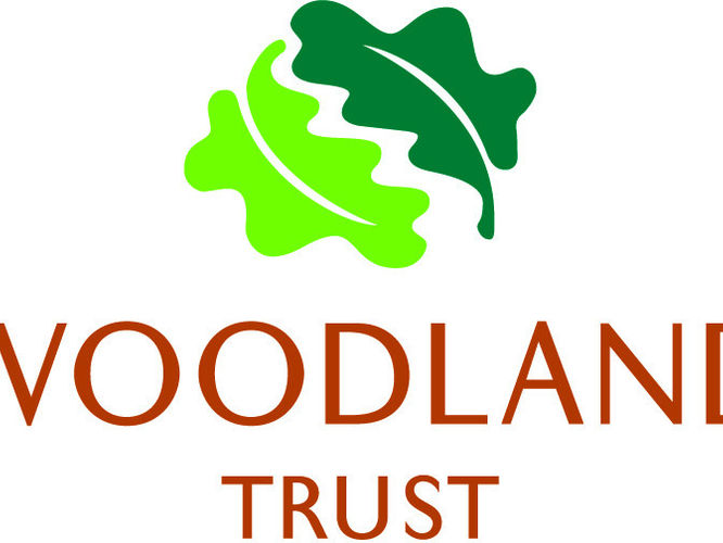 The Woodland Trust is offering free trees for communities, groups and schools!